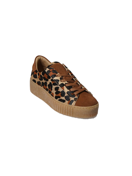 Feline Shoes