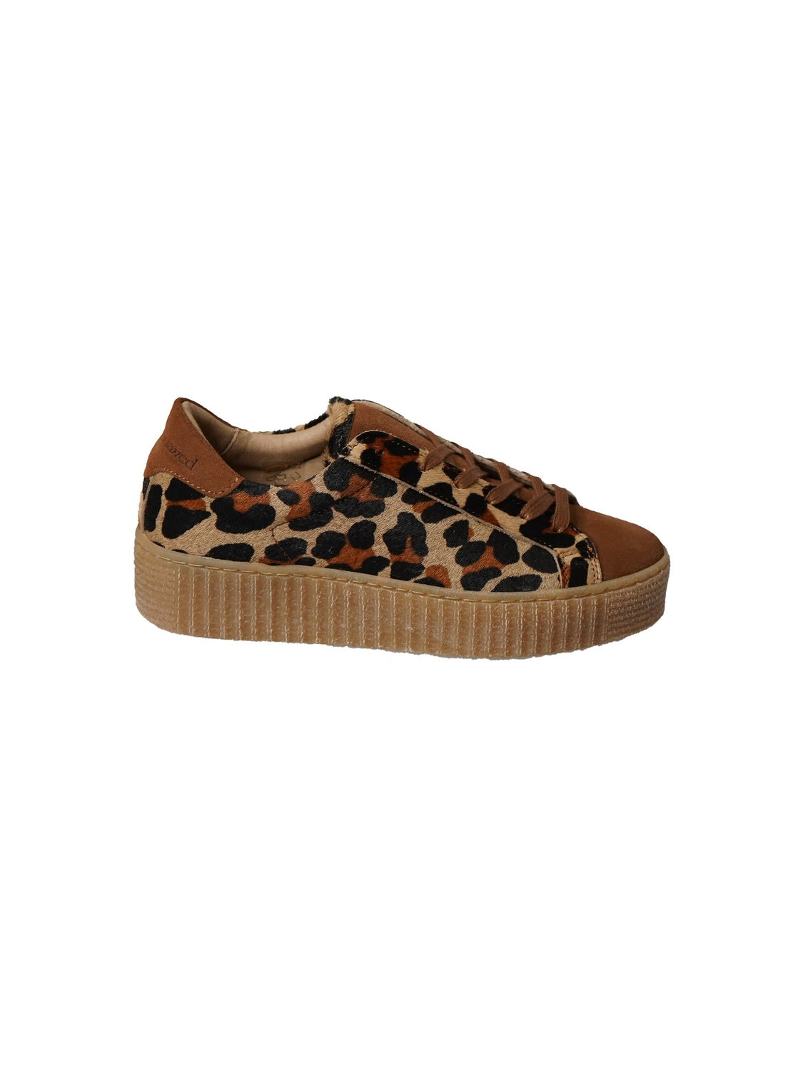 Feline Shoes