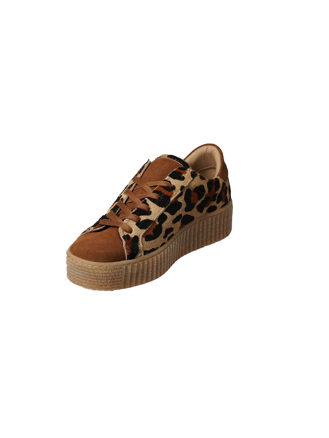 Feline Shoes