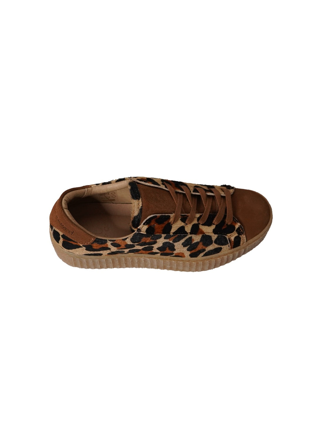 Feline Shoes
