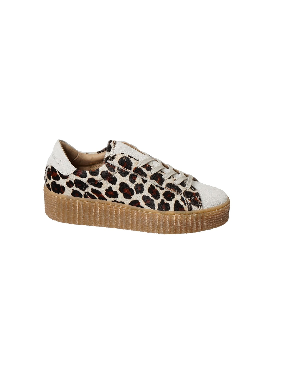 Feline Shoes