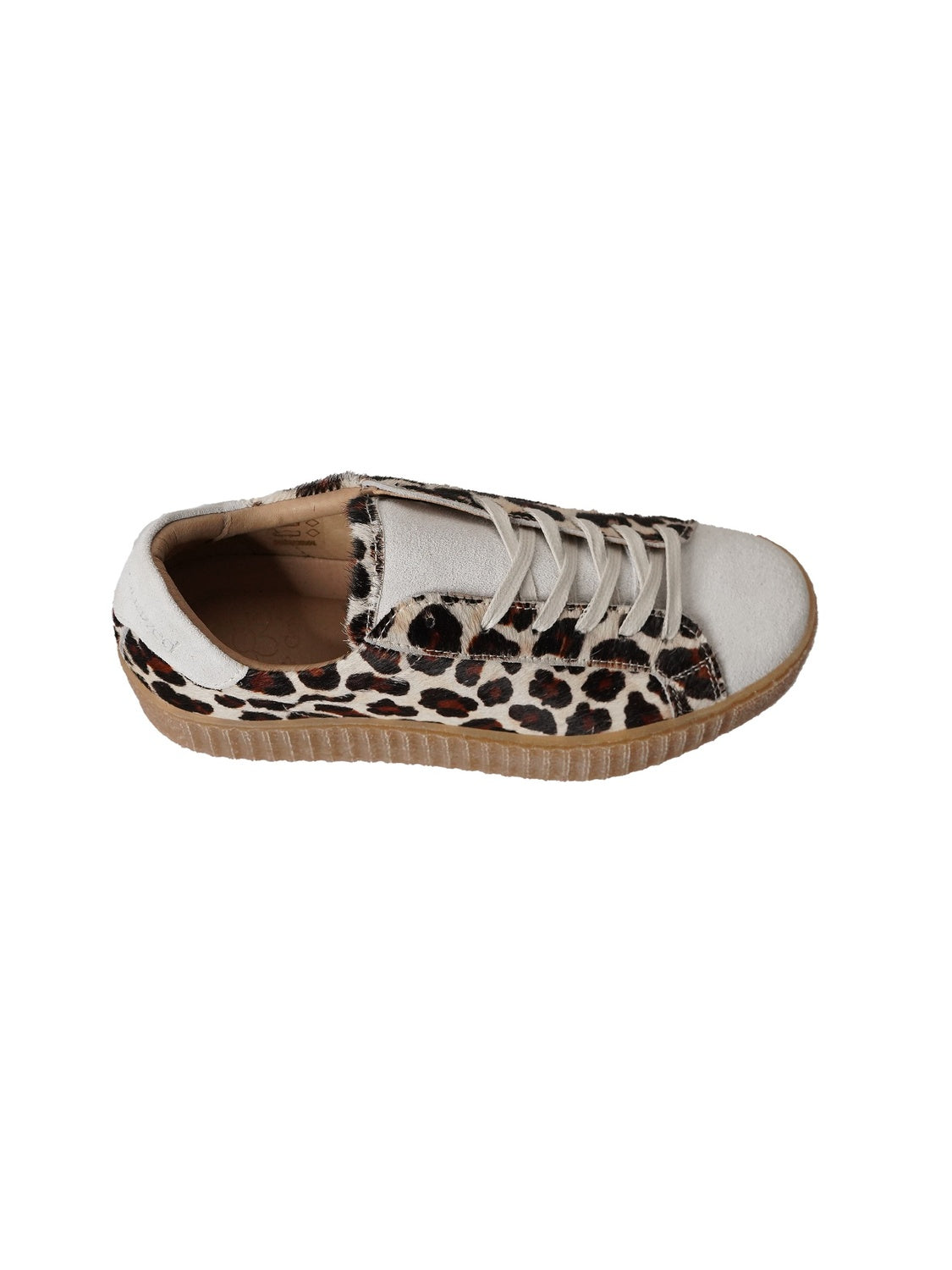 Feline Shoes